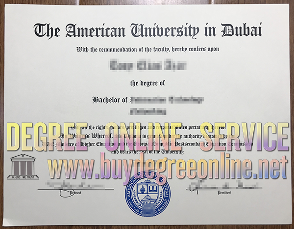 American University in Dubai degree