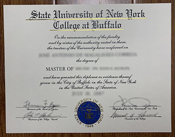 State University of New York college at Buffalo Degree Sample