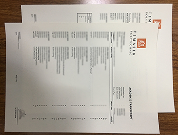 How to Get a fake Temasek Poly Transcript look as same as real ones