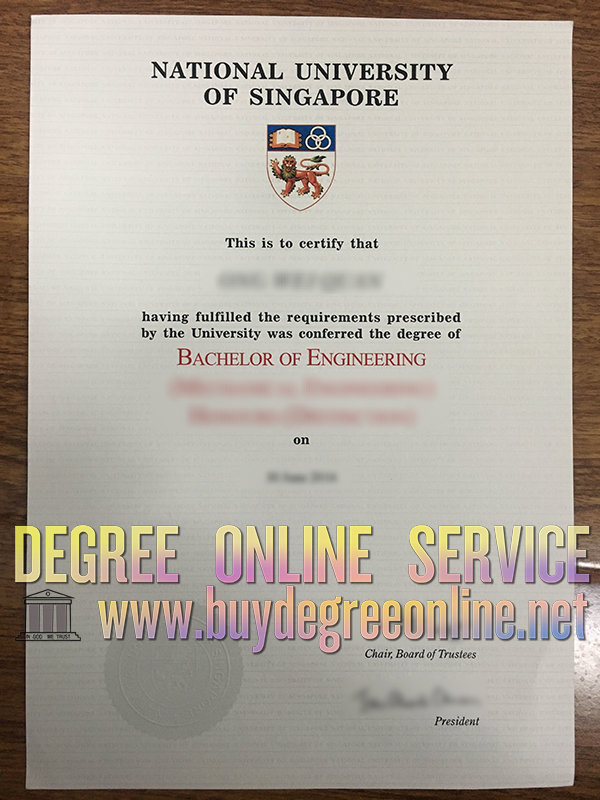 NUS diploma, NUS degree