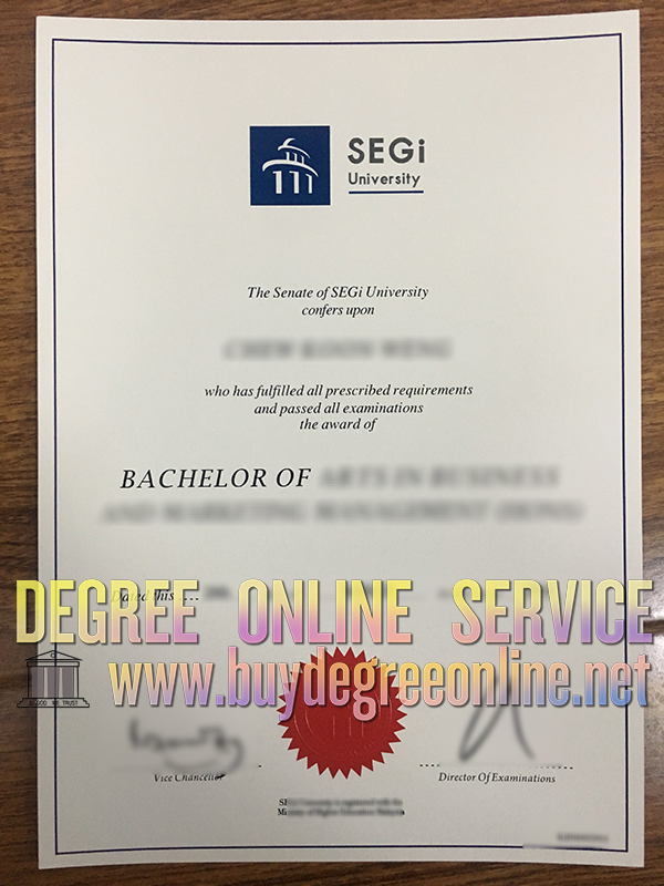 Segi diploma, Segi degree