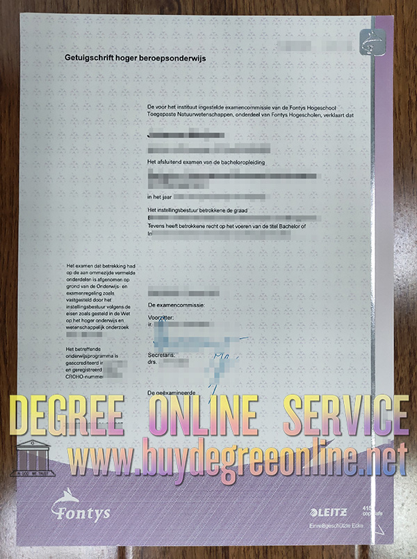 Fontys University diploma