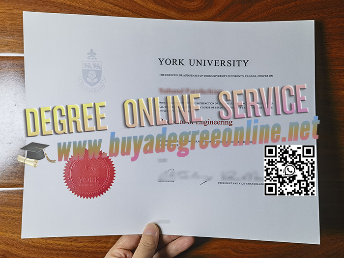 York University degree