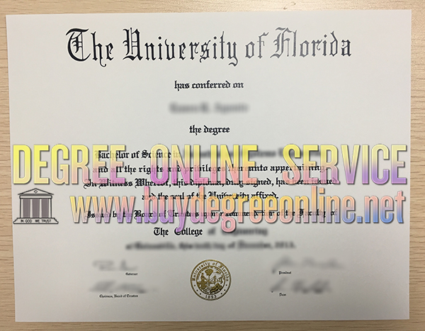 The University of Florida degree