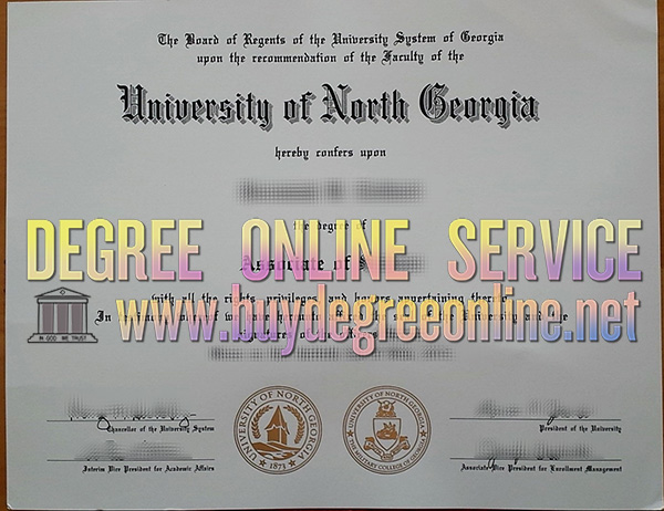 University of North Georgia degree