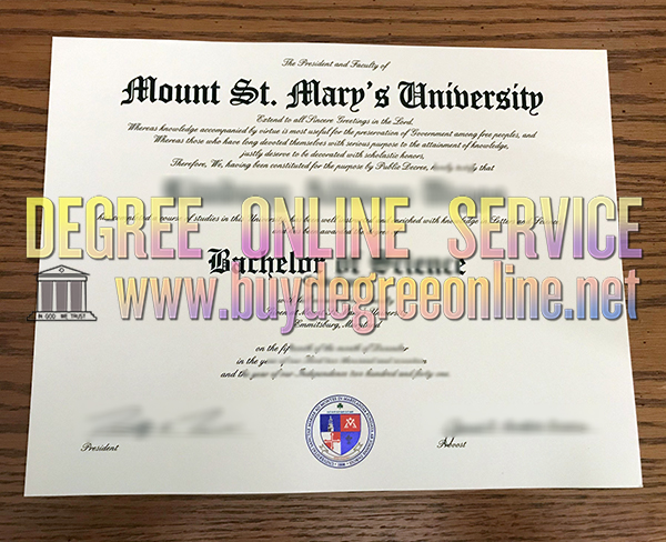 Mount St. Mary's University degree