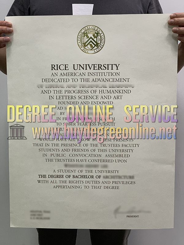 Rice University degree