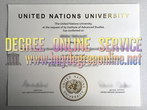 United Nations University degree