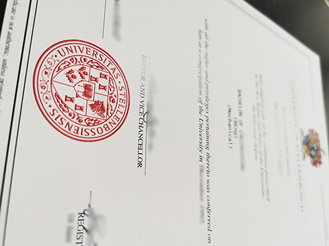 How To Start A Business With Fake Diploma From The University of Stellenbosch?