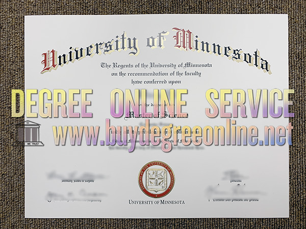 University of Minnesota degree