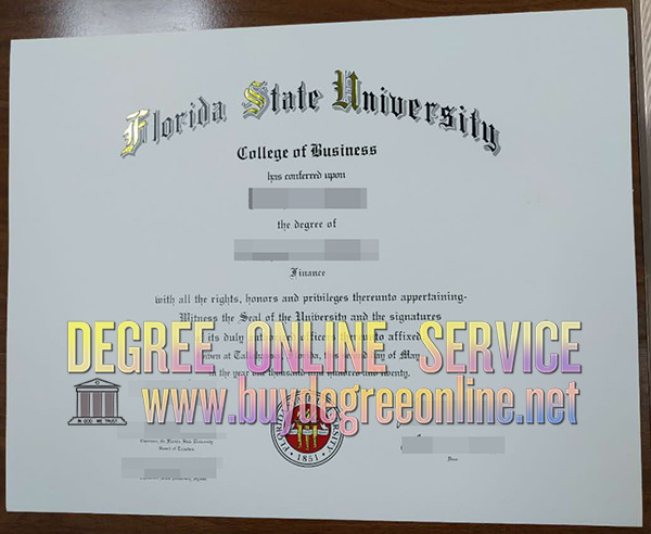 Florida State University degree