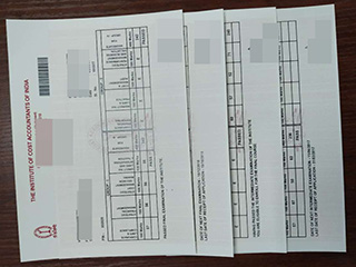Fake The Institute of Chartered Accountants of India/ICAI certificate