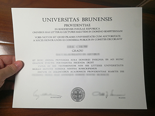 Fake Brown University Diploma, Buy Useful Brown University Degrees