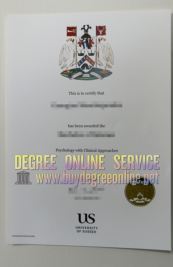 university of Sussex degree