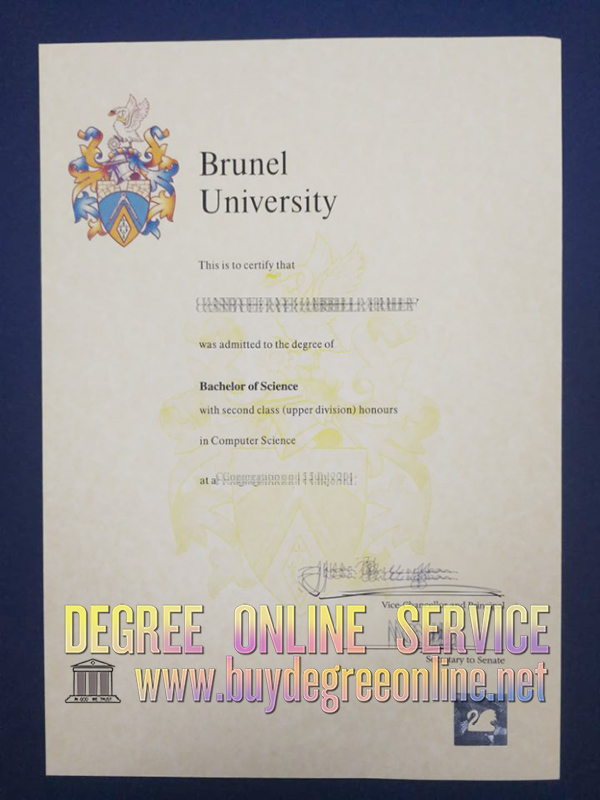 Brunel University degree