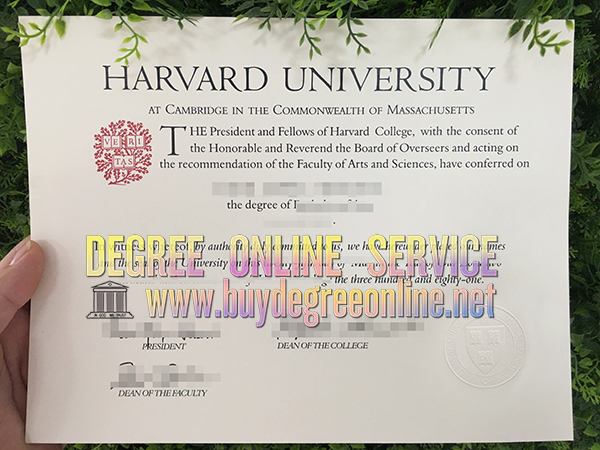 Harvard University diploma