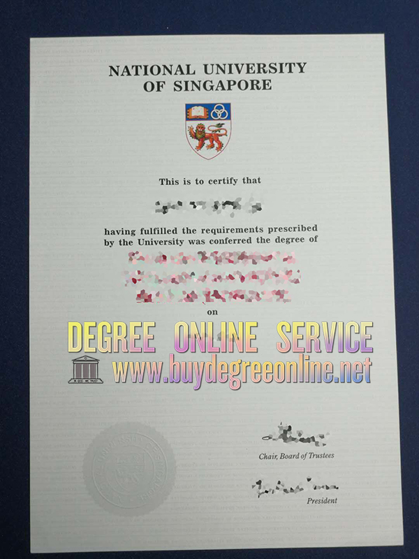 NUS degree