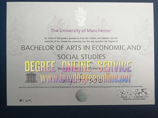 University of Manchester degree