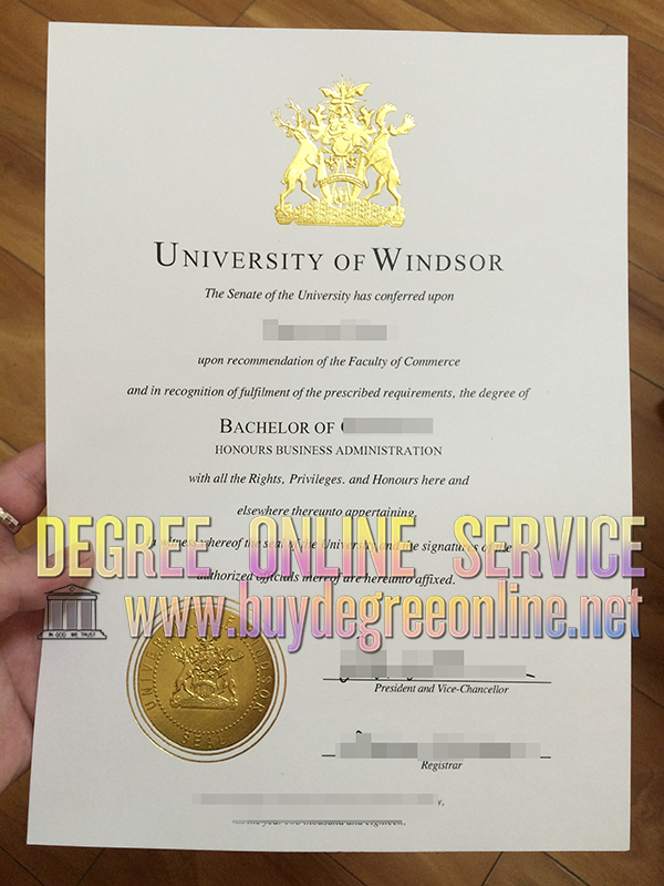 University of Windsor diploma