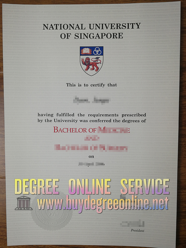 National University of Singapore degree