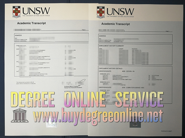 UNSW degree and transcript