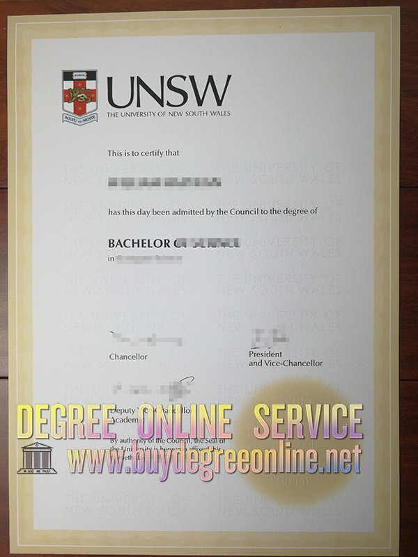 UNSW degree and transcript