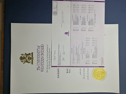 The samples of the University of Western Ontario degree and transcript