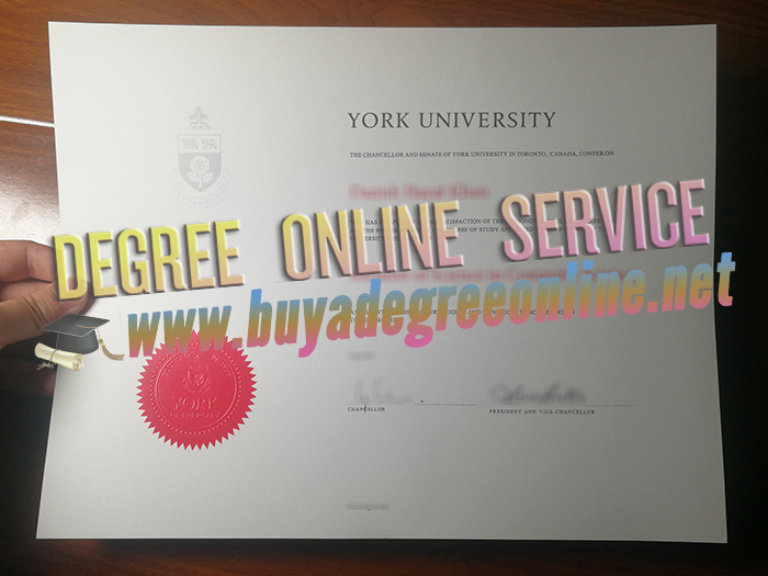 York University diploma