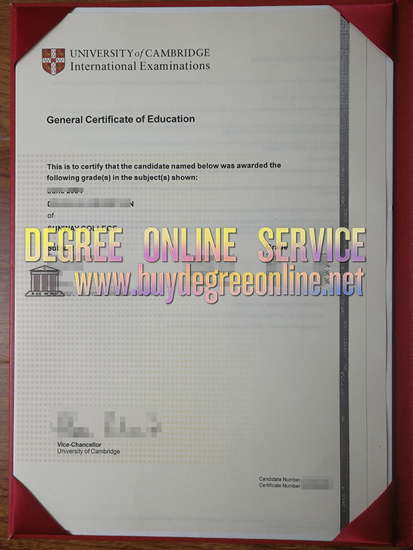 Fake CELTA Certificate