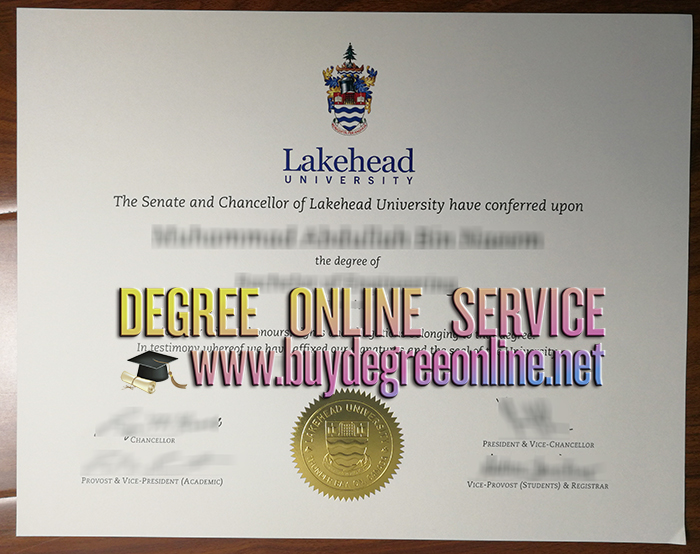 Lakehead University degree