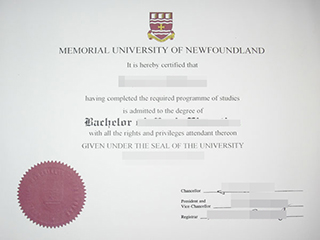 How to obtain a fake Memorial University of Newfoundland degree