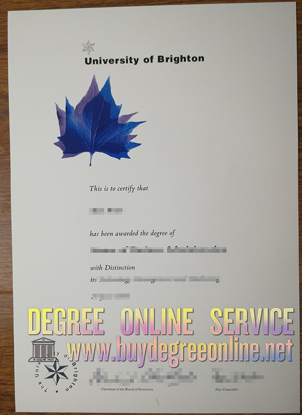 University of Brighton degree