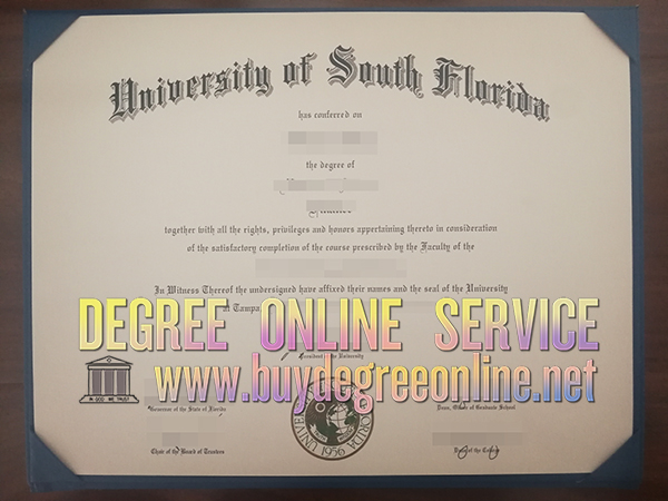 University of South Florida degree