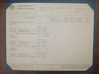 How do I get the fake transcript from USF(University of South Florida)?