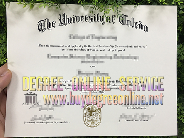 University of Toledo degree