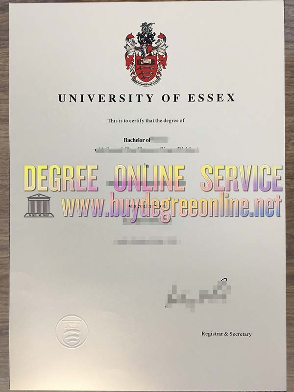  University of Essex degree