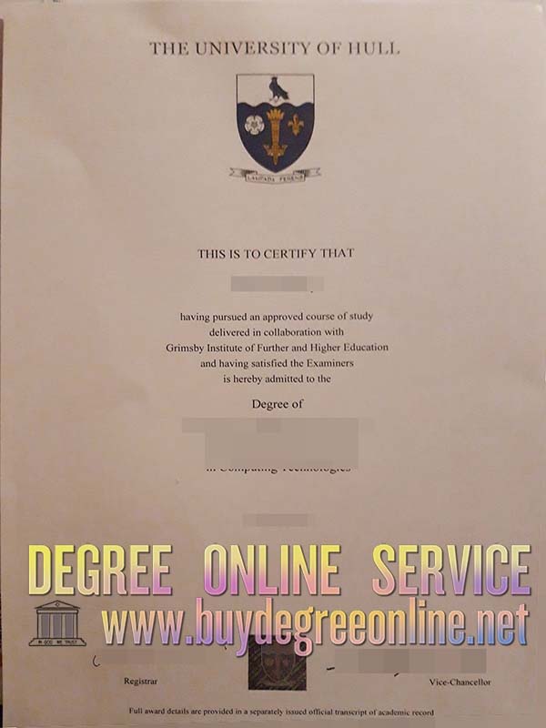 University of Hull degree