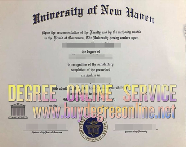 University of New Haven degree