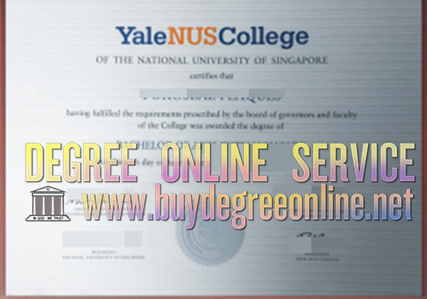 Yale NUS College diploma