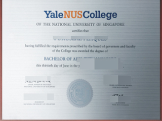 Fake Yale NUS College diploma in Singapore for sale here