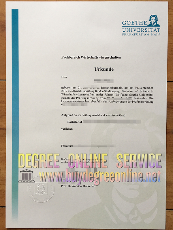 Goethe University Frankfurt degree