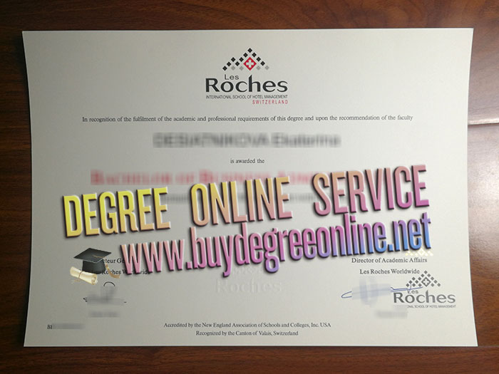 Les Roches degree