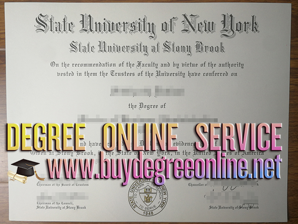 Stony Brook University, New York degree