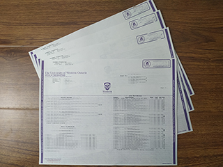 Make a copy of University of Western Ontario transcript, UWO diploma