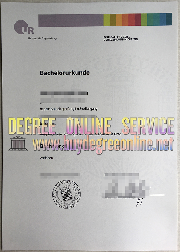 University of Regensburg degree