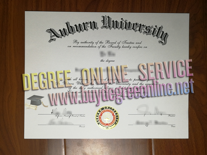 Auburn University degree