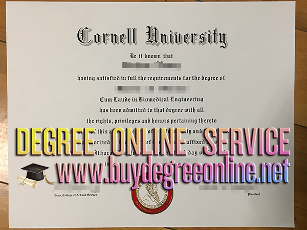 Cornell University diploma