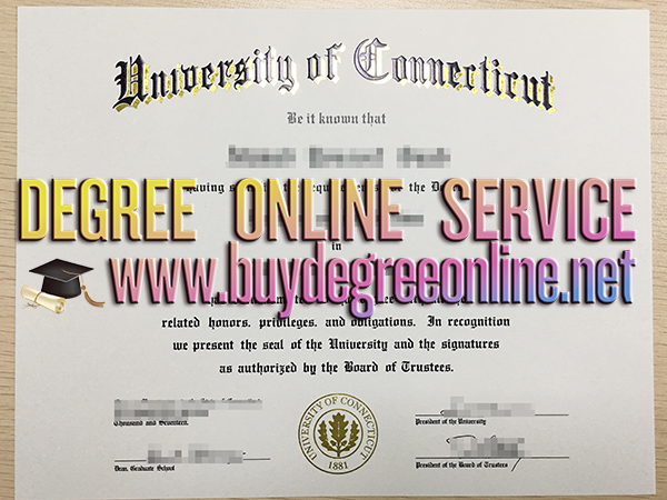 University of Connecticut diploma