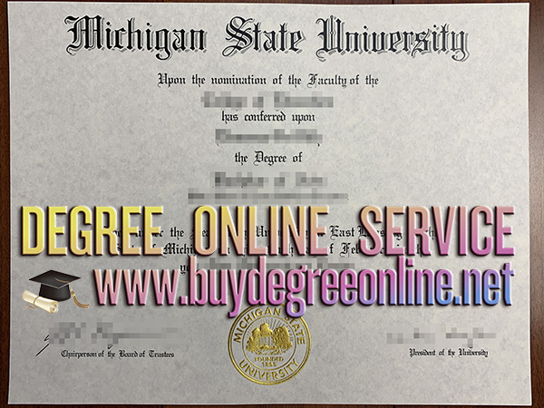 Michigan State University diploma