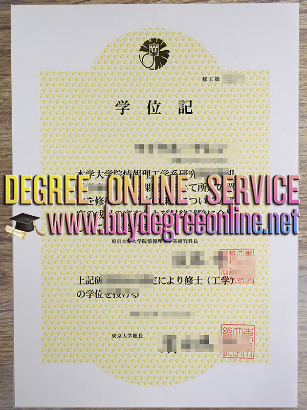 University of Tokyo degree